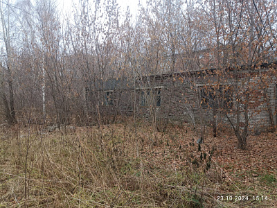 г. Новосибирск
