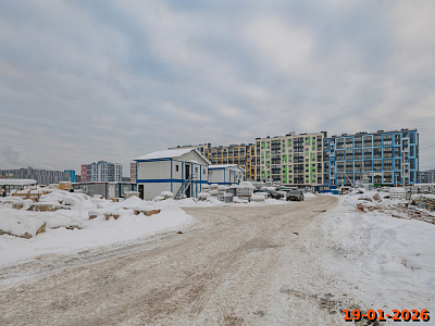 Янинский лес