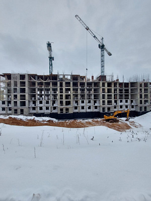 МО, Поселок городского типа Радумля, район ММС-2