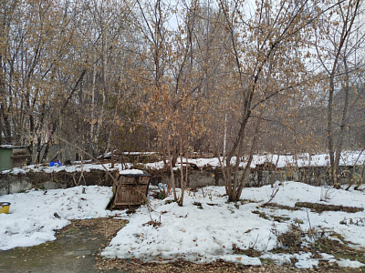 г. Новосибирск