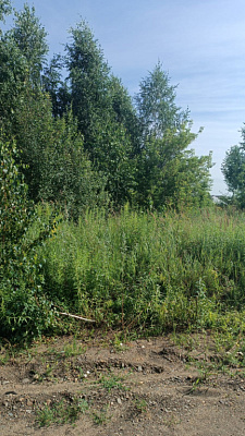 г. Бердск