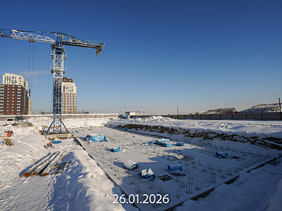 Мириады город в принципах ЭНКО, Мириады