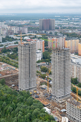 Левел Мичуринский