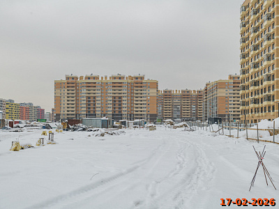 Янинский лес