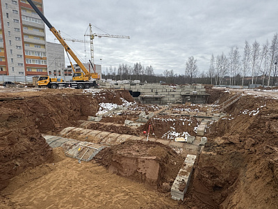Деревня Новосельцы