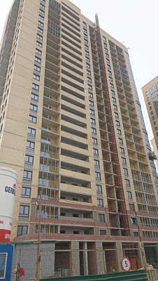 Сакура парк