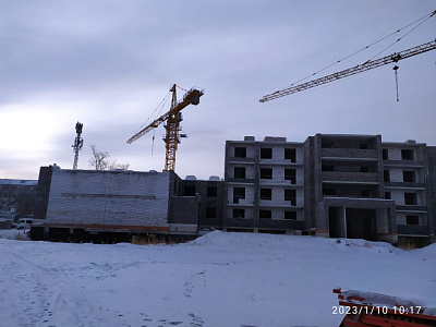 Дальневосточный Талисман