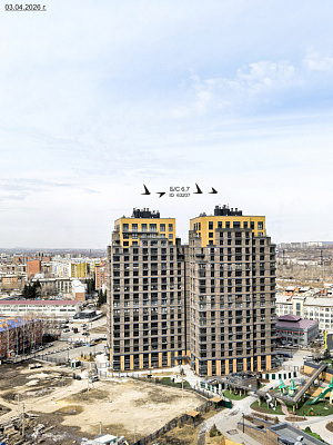 Стрижи Сити