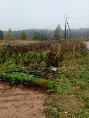 Звездная роща
