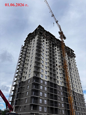 Крылья Качи
