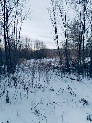 село С Новолуговое