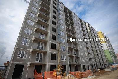 Концепт-проект 