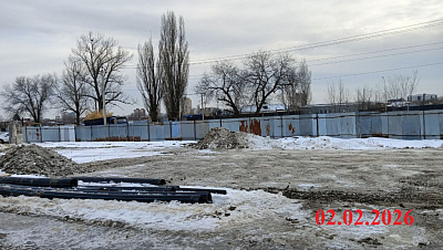 Крылья Качи 