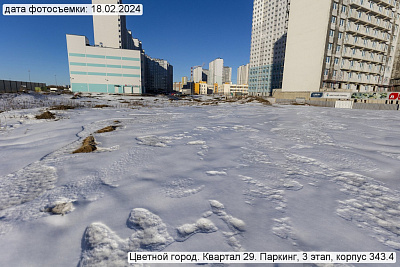 Цветной город