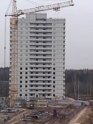 г. Брянск, Проспект Московский