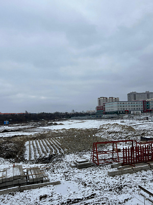 г. Брянск, Улица Романа Брянского