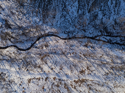 Квартал Нейбута