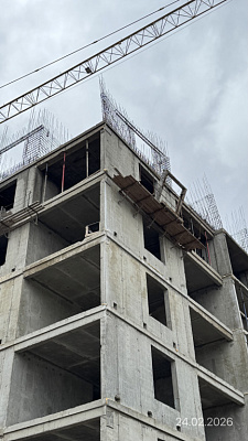 Поселок Новая Адыгея, Улица