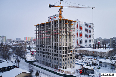 ТОЛК МЕДНЫЙ