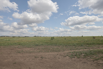 Литер 50 корпус 1