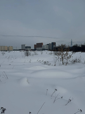 Город-парк Первый Московский (9 ф. к.3)