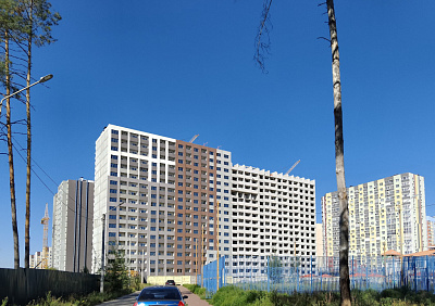 г. Воронеж, Улица