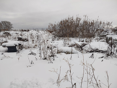 Расцветай на Зорге