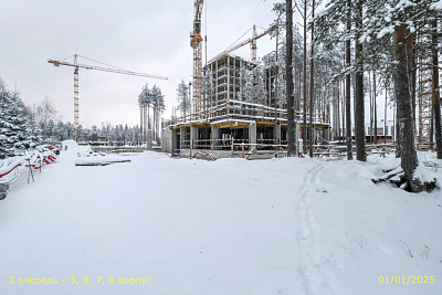 ВЕРЕН НОРТ СЕРТОЛОВО