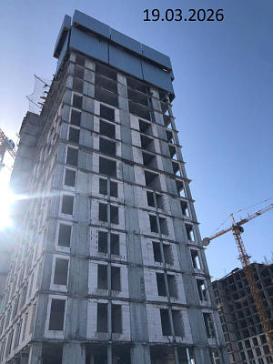 Платон Парк поз 1