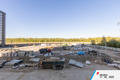 г. Санкт-Петербург, поселок Парголово, район Пригородный