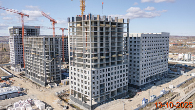 Зея парк корпус 1.7