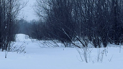 село С Новолуговое