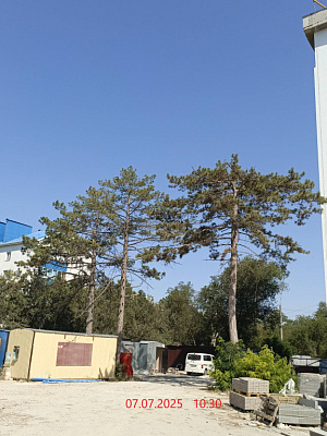 г. Евпатория, пр-кт Ленина