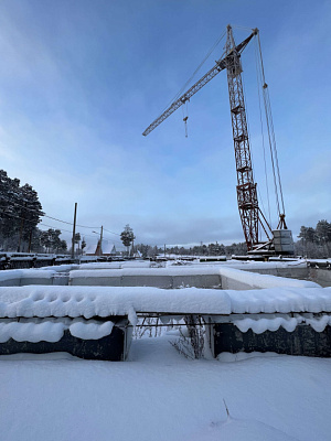 Поселок городского типа Барсово, Улица Сосновый Бор