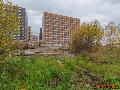 Таллинский парк