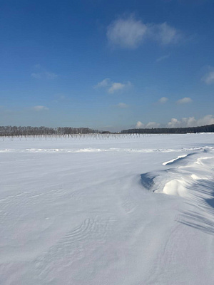 Миниполис Дивное