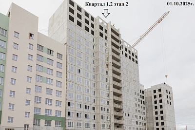 РеФорма Оптимум
