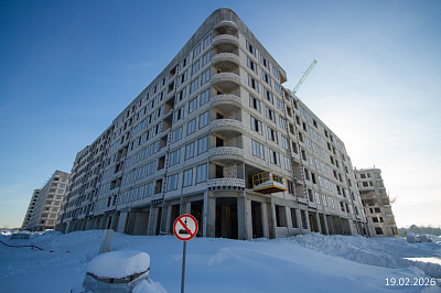 Экосити