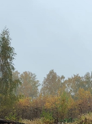 Павлово-3, дом 29 (корп.7)