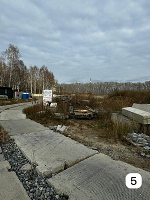 Расцветай на Зорге