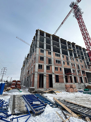 Северное Сияние Премиум