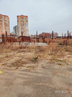 Мирапорт
