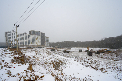 Левел Лесной