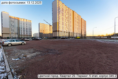 Цветной город
