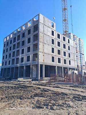 г. Брянск, Улица Улица Романа Брянского