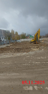 Крылья Качи 
