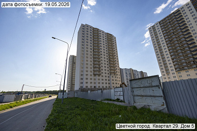 Цветной город