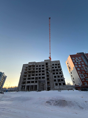 г. Петрозаводск