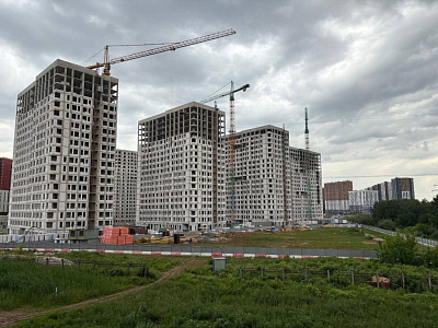 Город-парк Первый Московский (9 ф. к.3)