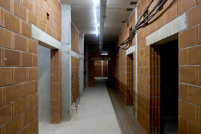 Брусника в Академическом